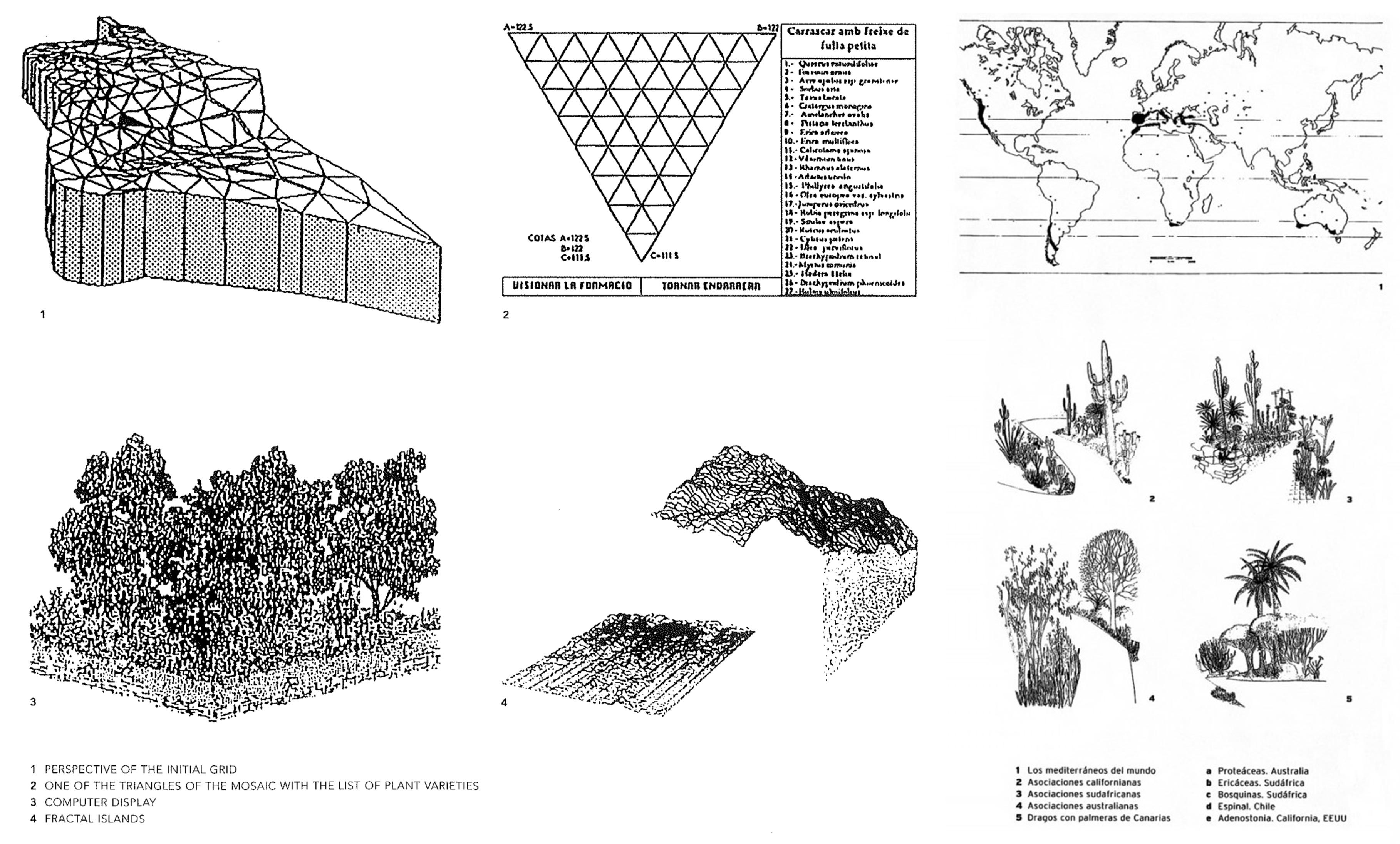 Images produced by the computer program developed to assign species typologies across each of the grid's facets.