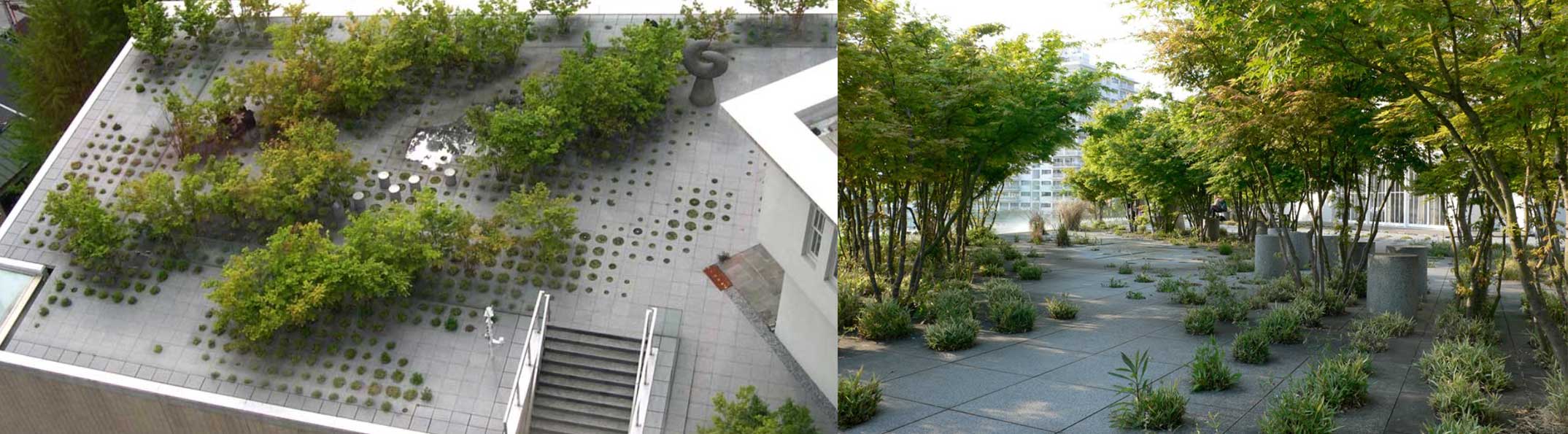 Photographs of the Keio University Roof Garden