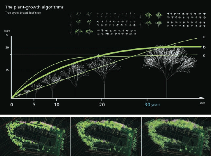 A model of plant growth was used to project the expected plant morphology over time.