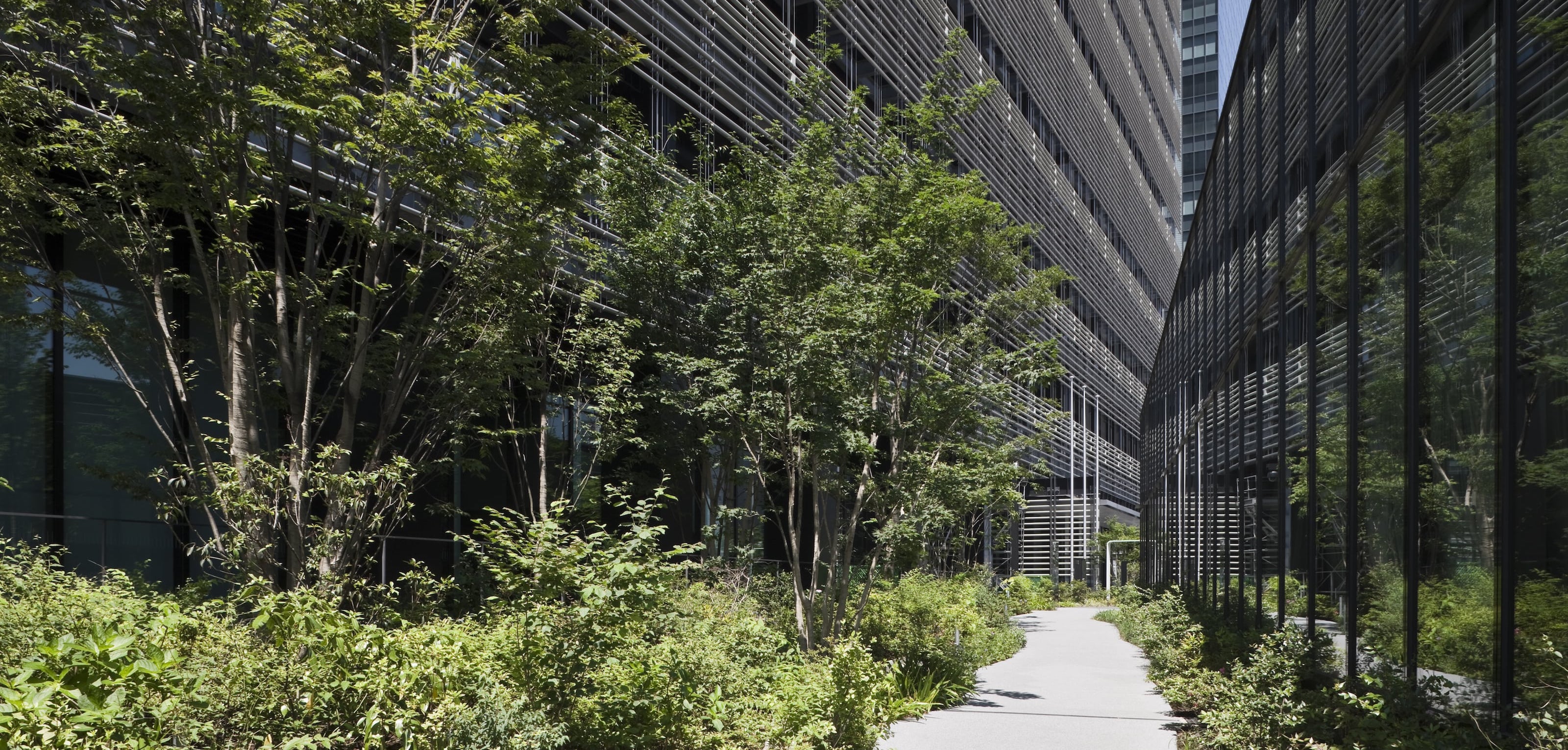 Image from within the 'Sony Forest' landscape that surrounds the NBF Osaki Building.